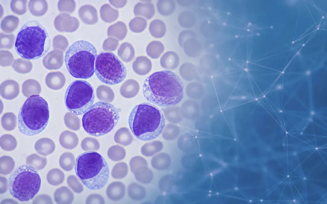 Acute Lymphoblastic Leukemia Classification from Blood Smear Images